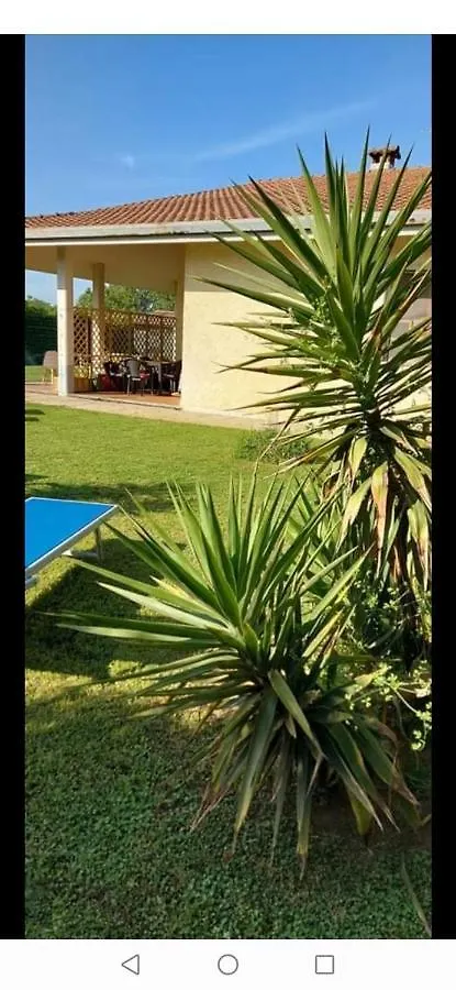 Green Garden Viareggio Italy